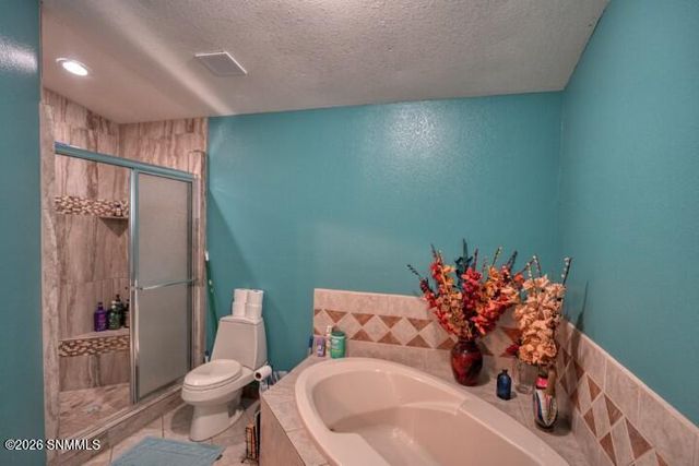 245 Hurt Road, Radium Springs, NM 88054