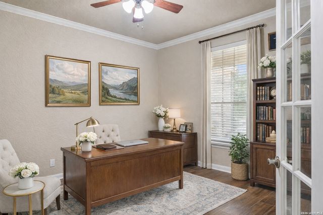 23119 Treemont Park, San Antonio, TX 78261