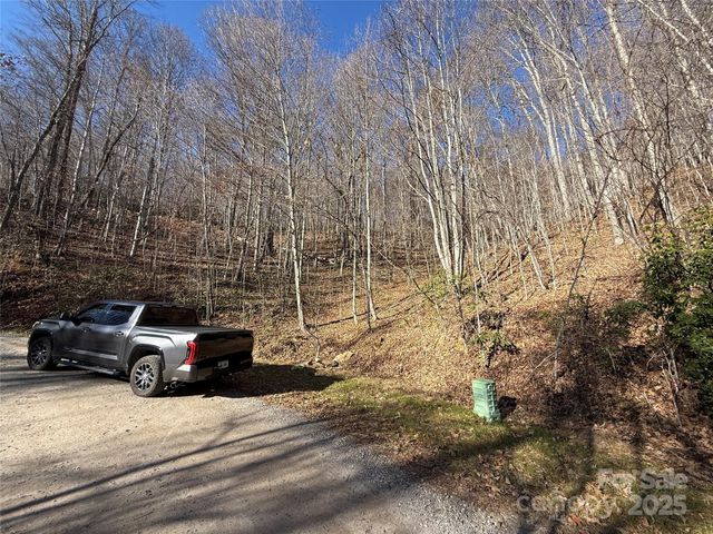 22,23,28 Brer Rabbit Trail, Waynesville, NC 28785