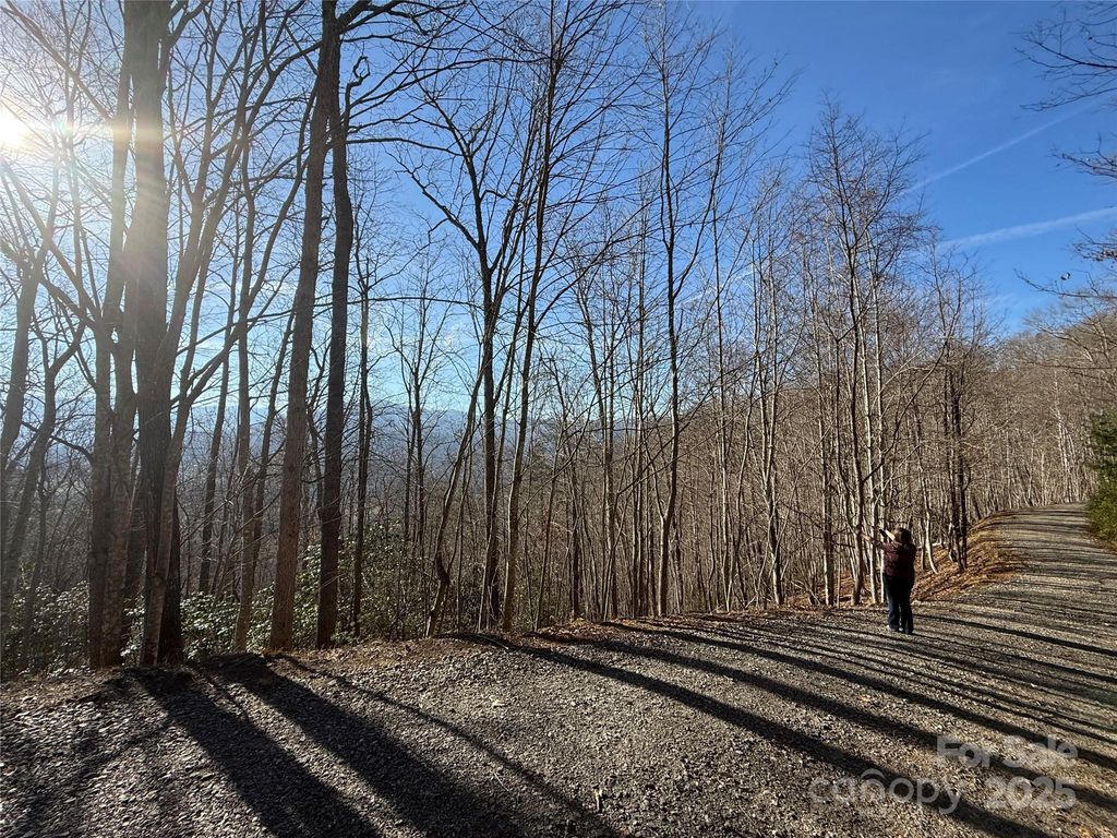 22,23,28 Brer Rabbit Trail, Waynesville, NC 28785