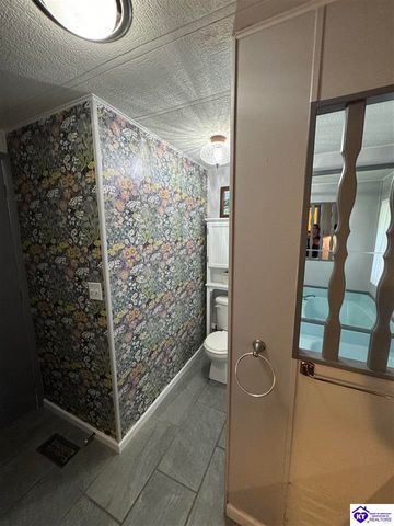 1270 Gaines Road, Brandenburg, KY 40108