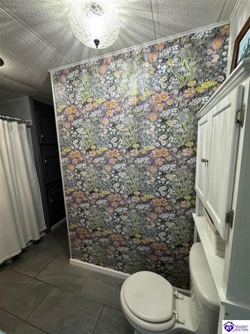 1270 Gaines Road, Brandenburg, KY 40108