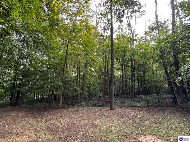 1270 Gaines Road, Brandenburg, KY 40108