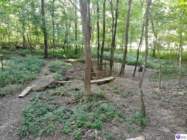 1270 Gaines Road, Brandenburg, KY 40108