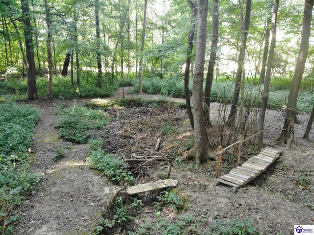 1270 Gaines Road, Brandenburg, KY 40108