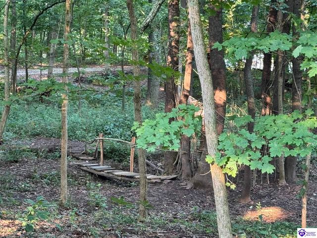 1270 Gaines Road, Brandenburg, KY 40108