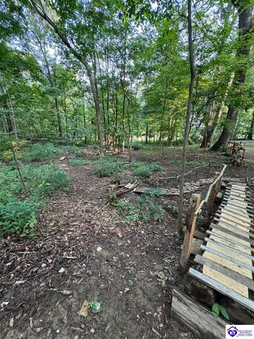 1270 Gaines Road, Brandenburg, KY 40108