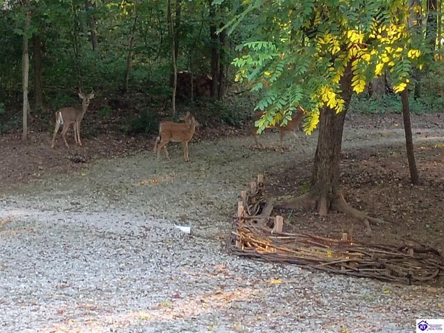 1270 Gaines Road, Brandenburg, KY 40108