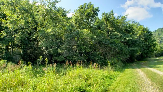 8100 Eaton Hollow Rd, Christiana, TN 37037