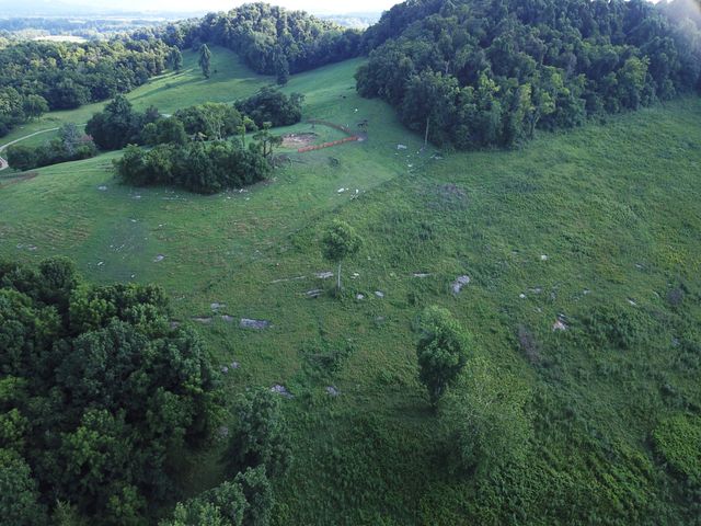 8100 Eaton Hollow Rd, Christiana, TN 37037