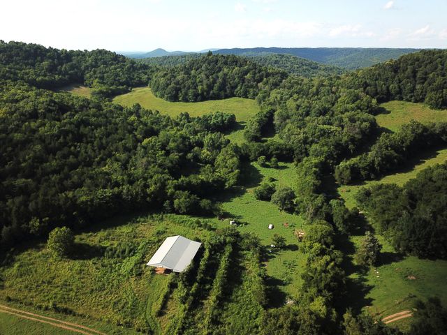 8100 Eaton Hollow Rd, Christiana, TN 37037