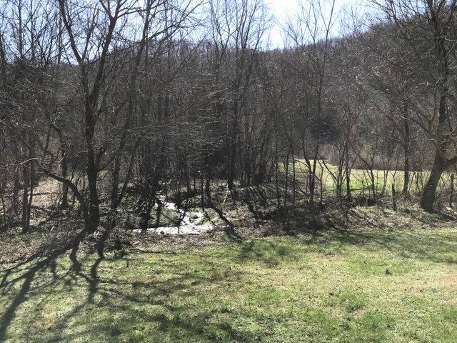 8100 Eaton Hollow Rd, Christiana, TN 37037