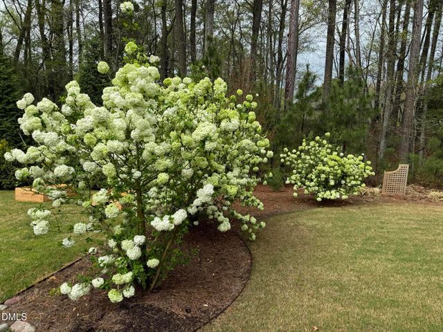 2808 Brighton Forest Drive, Apex, NC 27539