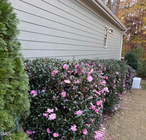 2808 Brighton Forest Drive, Apex, NC 27539