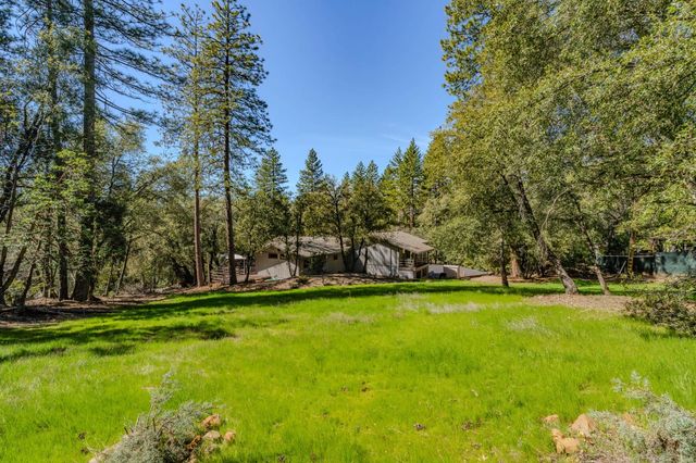 23055 Roden Ln, Pioneer, CA 95666