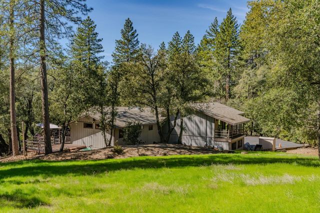 23055 Roden Ln, Pioneer, CA 95666