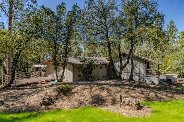 23055 Roden Ln, Pioneer, CA 95666