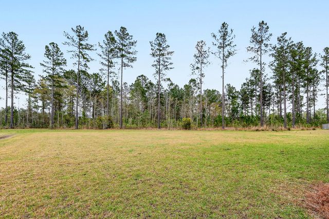 246 Silver Creek Drive, Huger, SC 29450