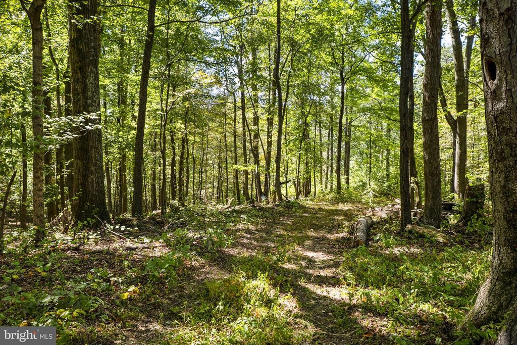 Image 85 of property listing at 16112 BARNESVILLE RD, Boyds, MD 20841