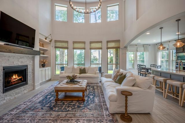 171 Gray Pine Grove Way, Willis, TX 77318