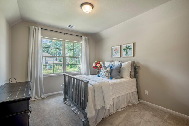 171 Gray Pine Grove Way, Willis, TX 77318