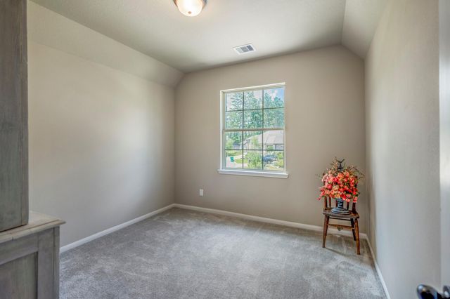 171 Gray Pine Grove Way, Willis, TX 77318