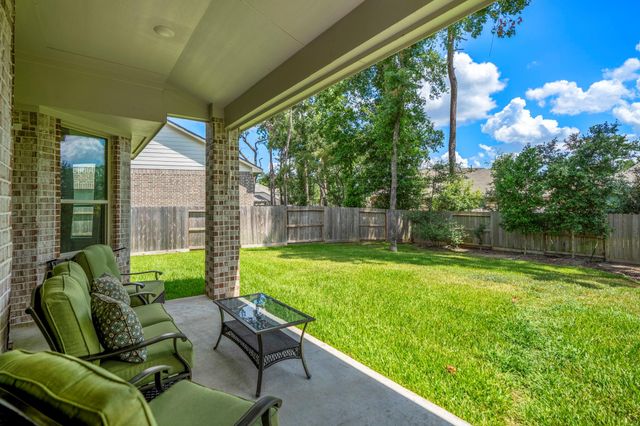 171 Gray Pine Grove Way, Willis, TX 77318
