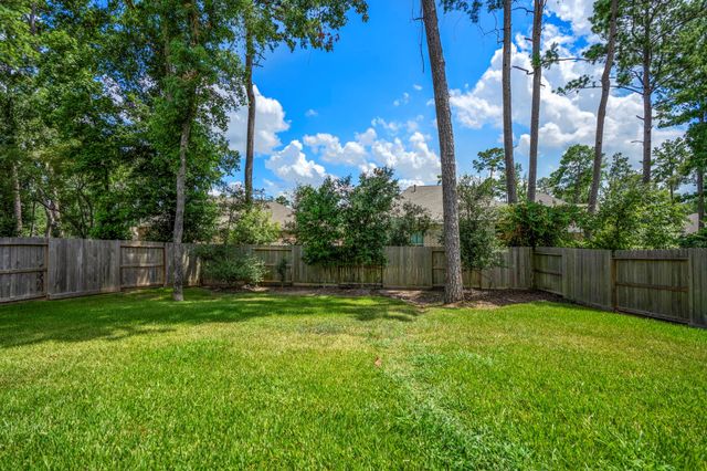 171 Gray Pine Grove Way, Willis, TX 77318
