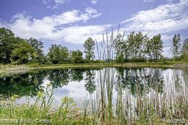 4894 Indian Creek Drive, Jackson, MI 49201