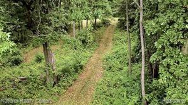 4894 Indian Creek Drive, Jackson, MI 49201