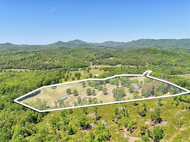 1193 Pine Log Road, Warne, NC 28909