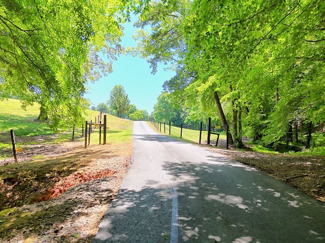 1193 Pine Log Road, Warne, NC 28909