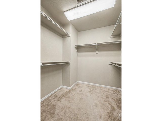 3451 Yule Trail Dr, Fort Collins, CO 80524