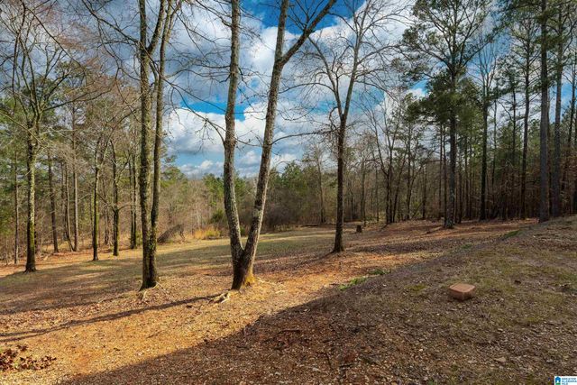 2166 LAKEVIEW TRACE, Trussville, AL 35173