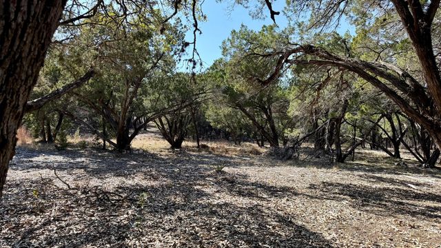 4513 Destination WAY, Jonestown, TX 78645