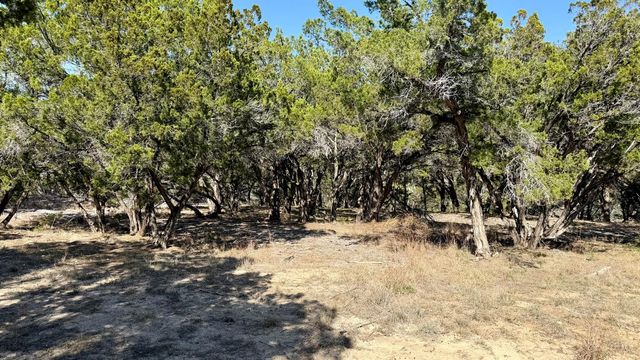 4513 Destination WAY, Jonestown, TX 78645