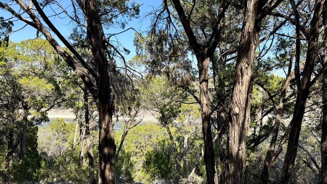 4513 Destination WAY, Jonestown, TX 78645
