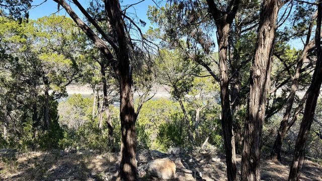 4513 Destination WAY, Jonestown, TX 78645