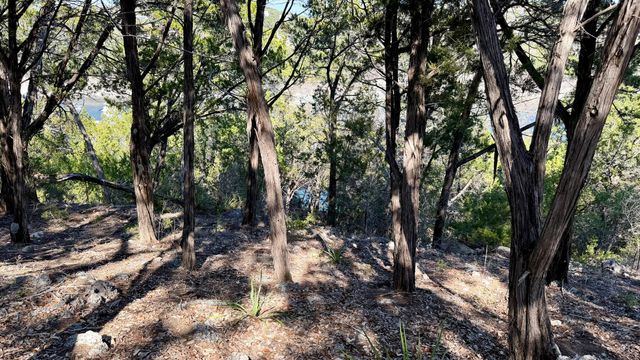 4513 Destination WAY, Jonestown, TX 78645
