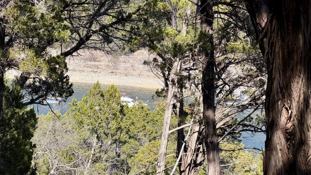 4513 Destination WAY, Jonestown, TX 78645