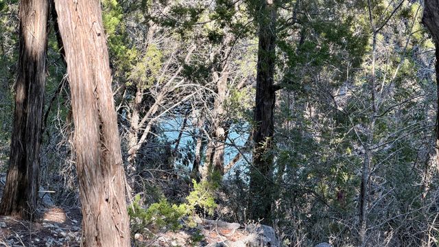 4513 Destination WAY, Jonestown, TX 78645