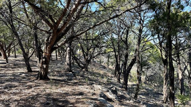 4513 Destination WAY, Jonestown, TX 78645