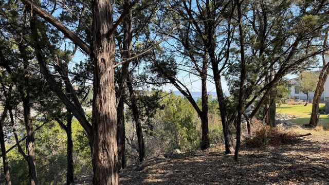 4513 Destination WAY, Jonestown, TX 78645