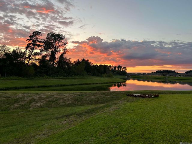 23199 Harlington Dr, Denham Springs, LA 70726