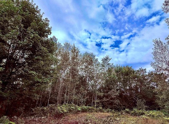 730 W M-113, Kingsley, MI 49649