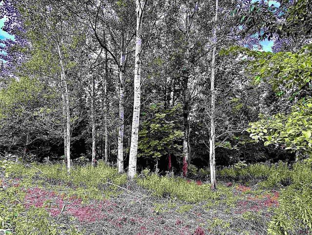 730 W M-113, Kingsley, MI 49649