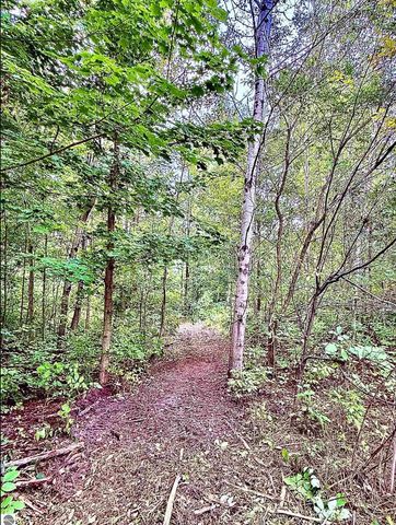 730 W M-113, Kingsley, MI 49649