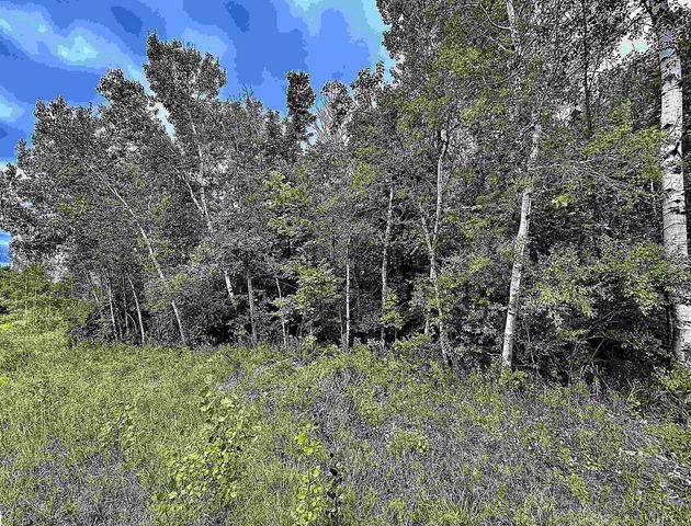 730 W M-113, Kingsley, MI 49649