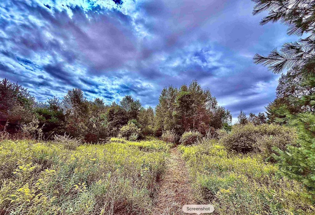 730 W M-113, Kingsley, MI 49649