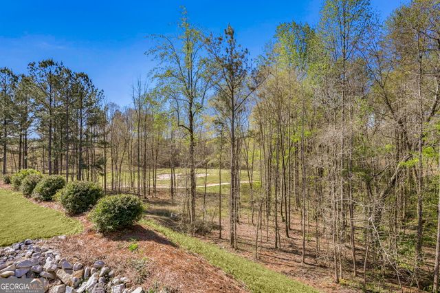 157 Chinkapin Court, Griffin, GA 30223